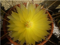 a9d08e9a-Picture 6135.jpg